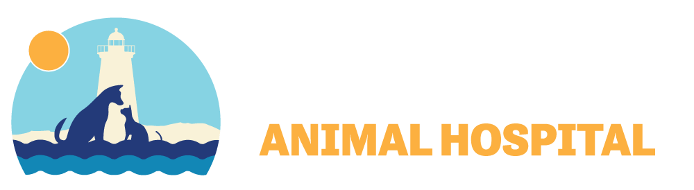 Kittery Animal Hospital