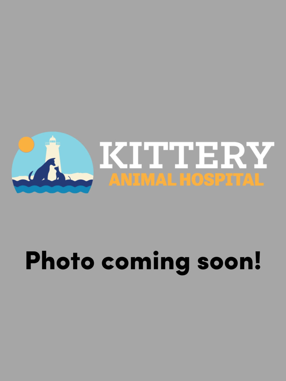 Veterinarian in Kittery, ME 03904 Kittery Animal Hospital