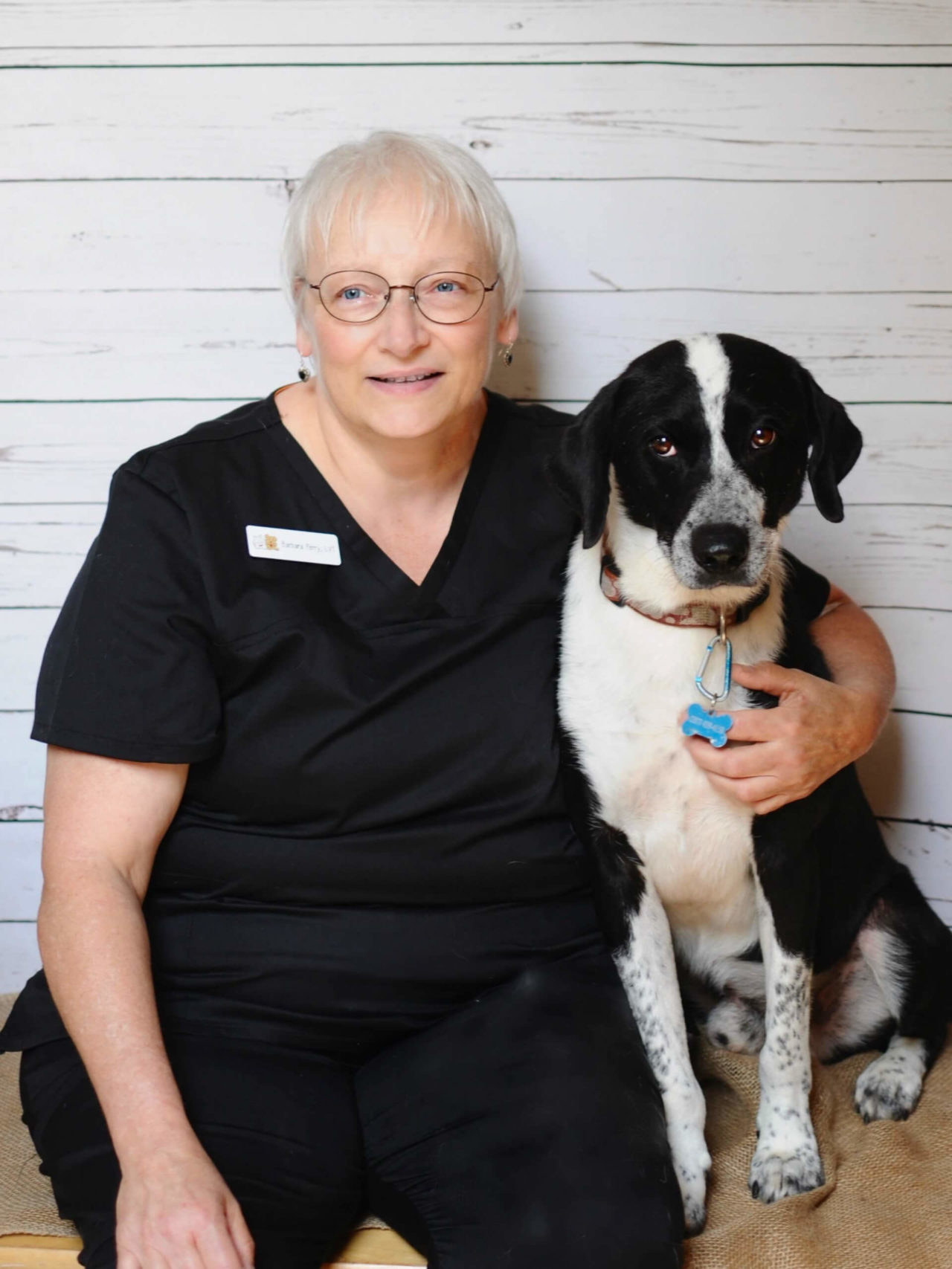 Veterinarian in Kittery, ME 03904 Kittery Animal Hospital