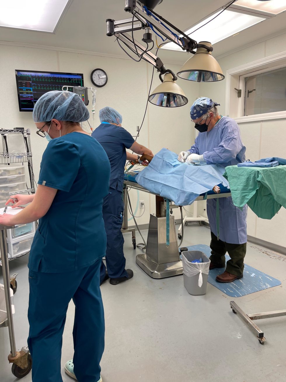 Best Veterinary Hospital in Kittery, ME 03904 Kittery Animal Hospital