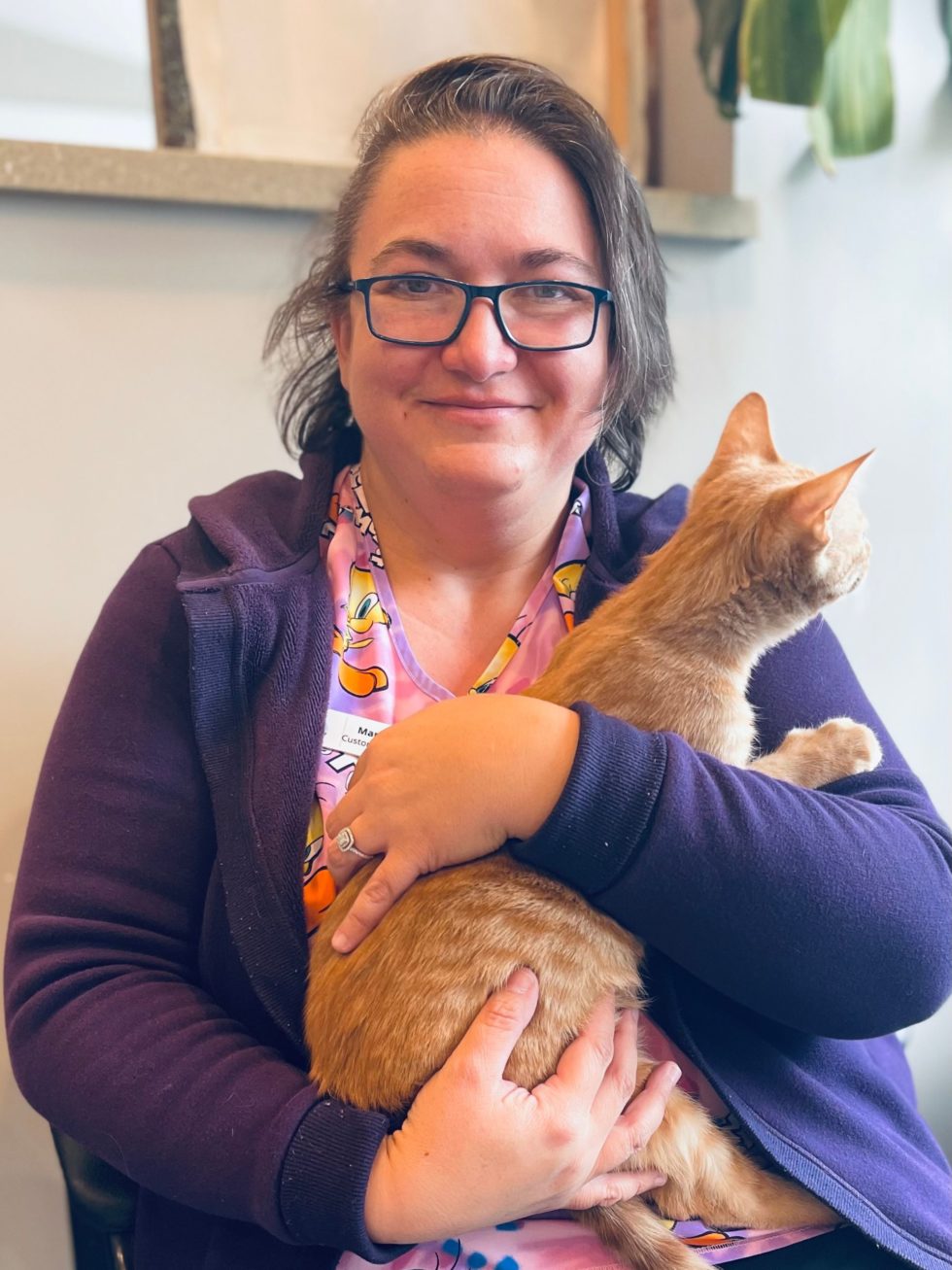 Veterinarian in Kittery, ME 03904 Kittery Animal Hospital