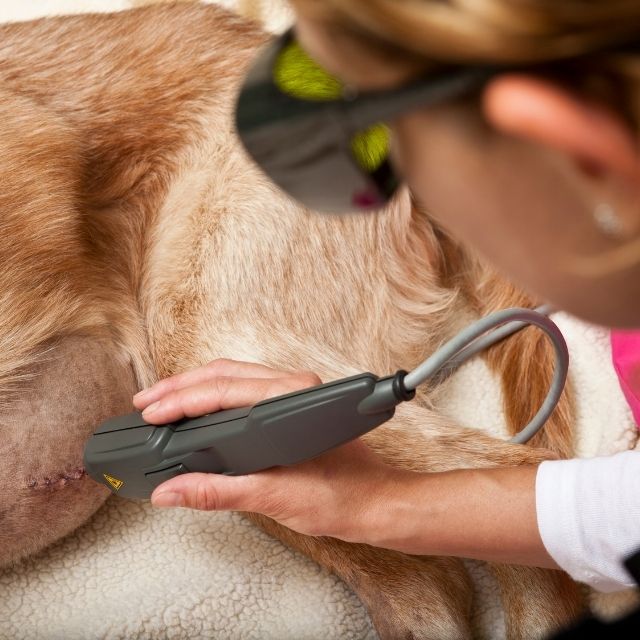 Cold-Laser-Therapy