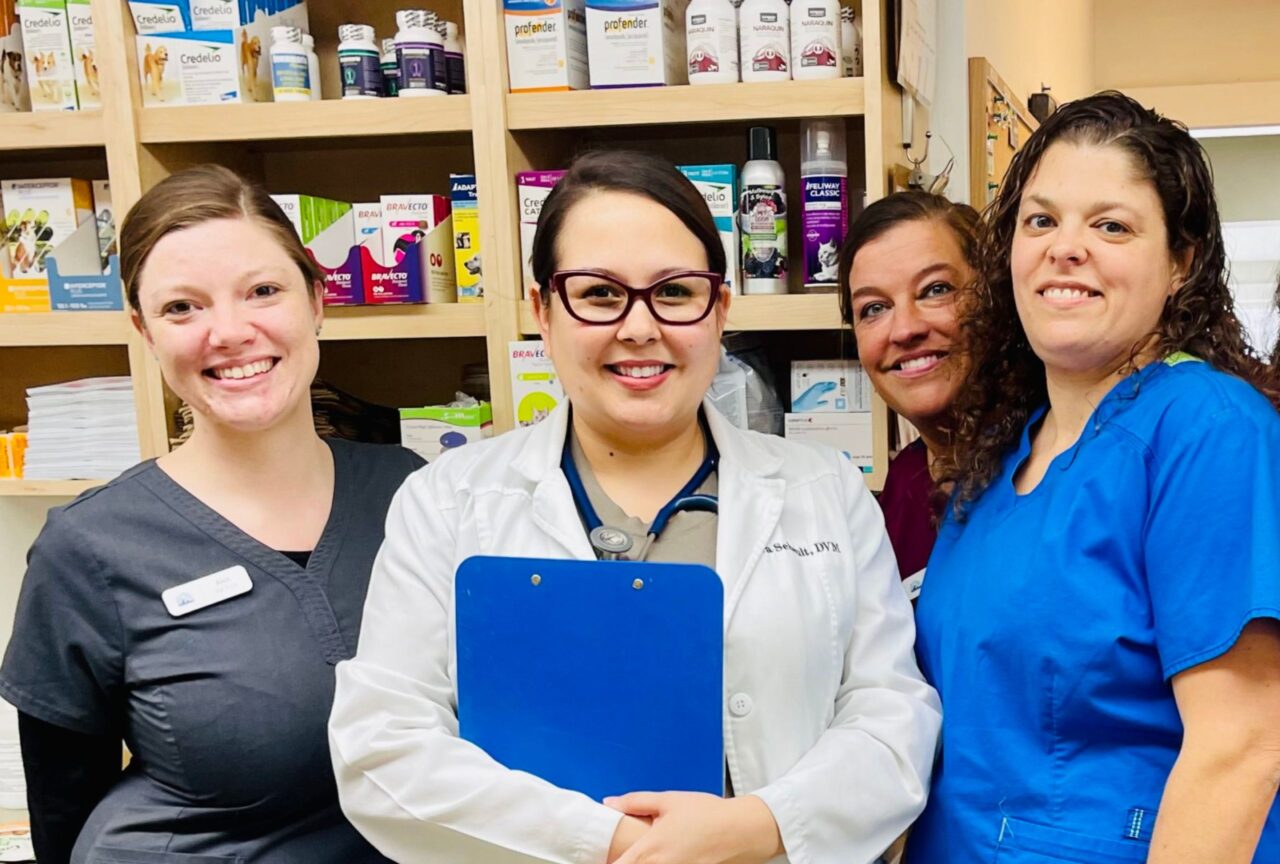 Veterinarian in Kittery, ME 03904 Kittery Animal Hospital