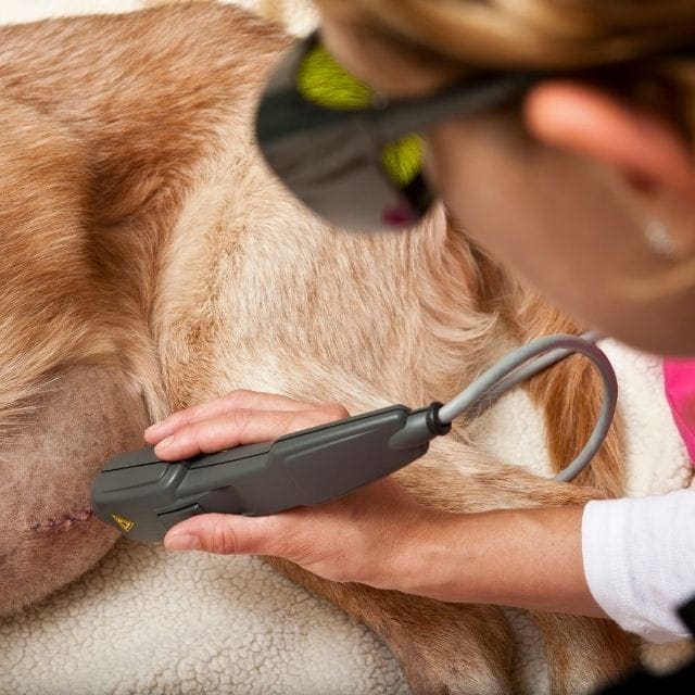Cold-Laser-Therapy-min
