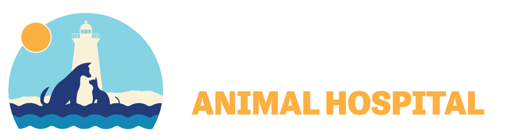 KAH-final-logo-horizontal-reverse-1-1