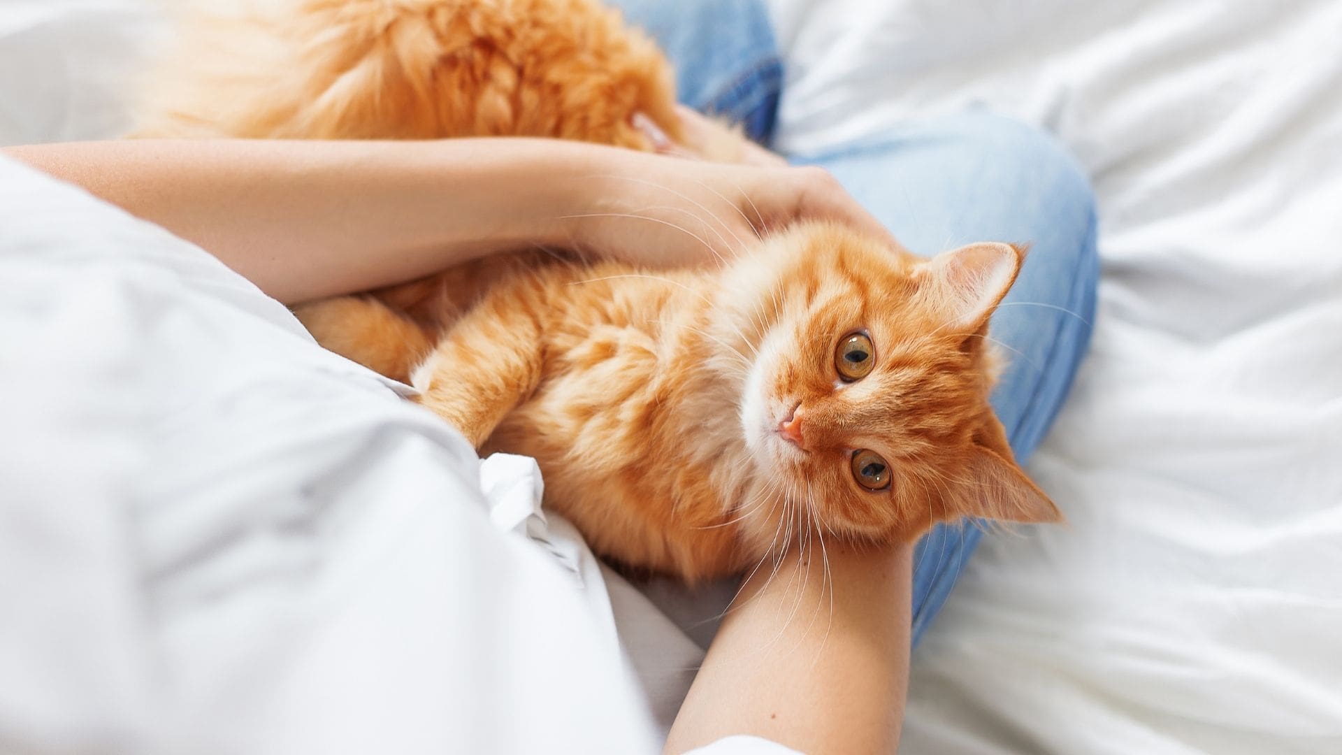 about
