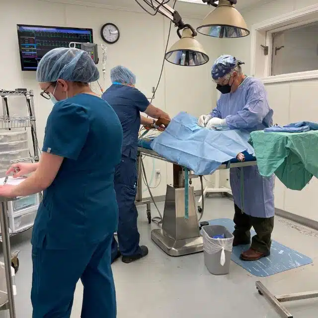 kittery-surgery.jpg
