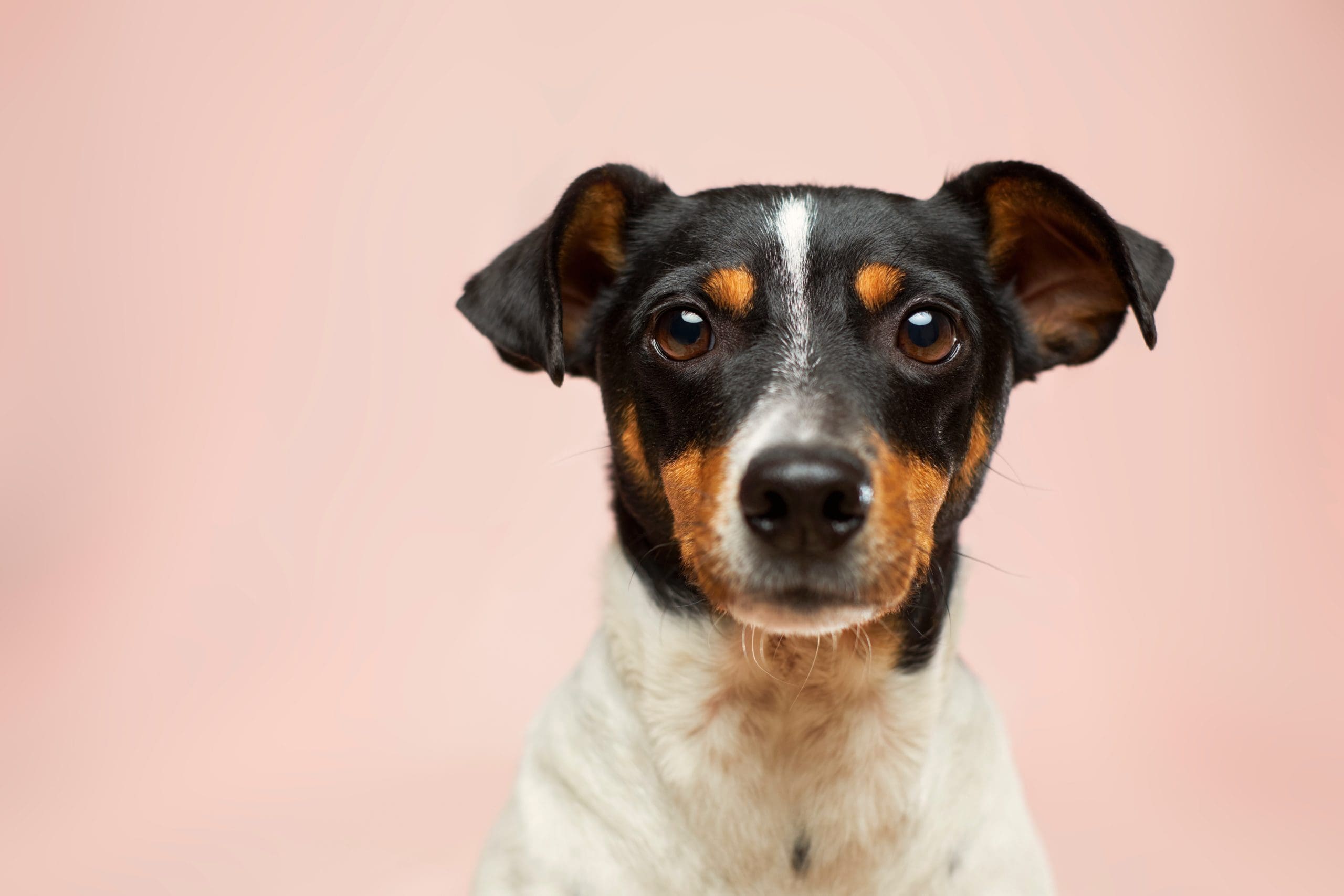 victor-grabarczyk-N04FIfHhv_k-unsplash-scaled